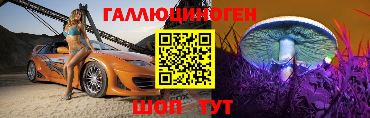 Галлюциногенные грибы MAGIC MUSHROOMS Строитель