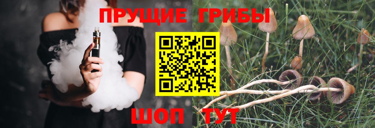 Галлюциногенные грибы GOLDEN TEACHER  Вход с VPN  Строитель 